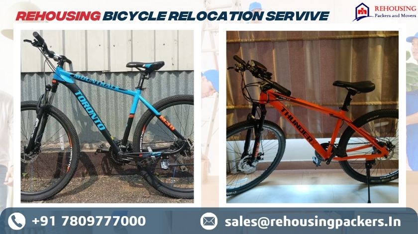 cycle transport service near me