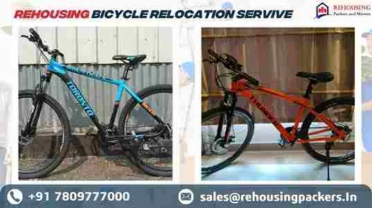 cycle transport service near me