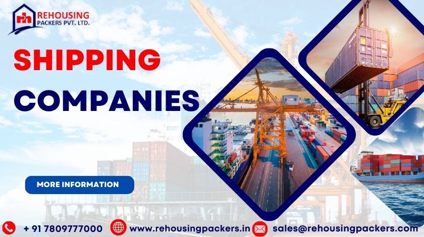 About Rehousing Packers and Movers